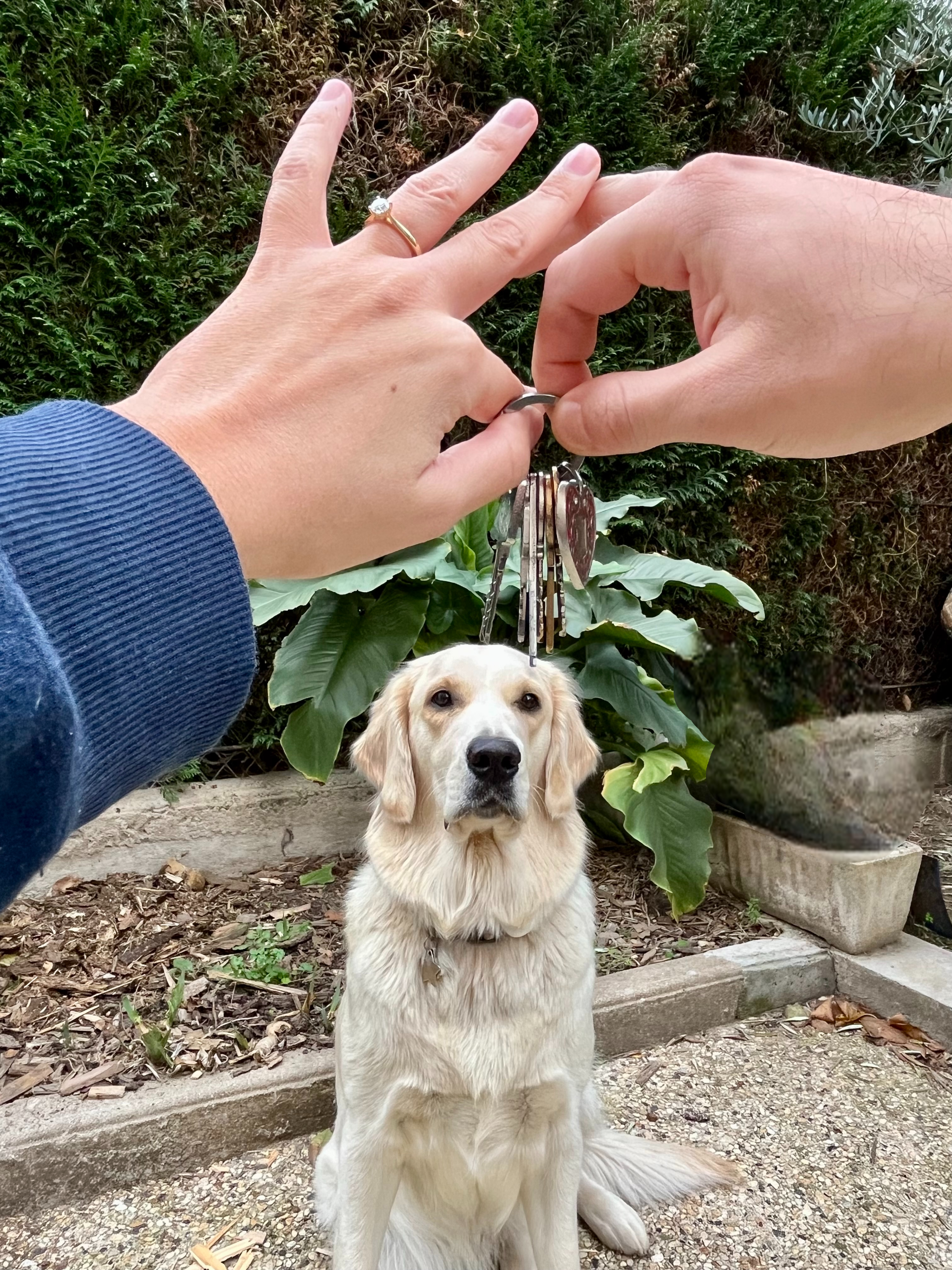Nous avons franchi une nouvelle étape en achetant notre première maison, symbole de notre engagement et de nos projets communs.